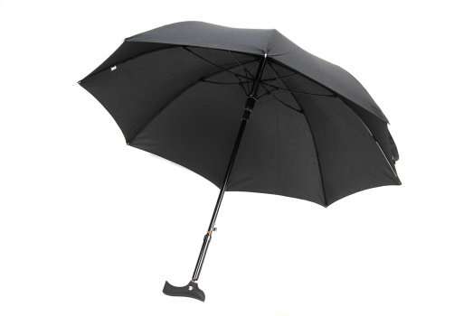 Black Umbrella Walking Stick